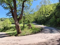 Monte Mauro da Via Lama