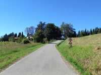 Monte Mirabello from Predappio