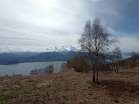 Monte Morissolo über Aurano