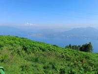 Monte Morissolo via Aurano