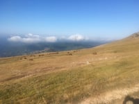 Monte Nerone z Pianello
