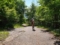 Monte Orsa da Viggiù