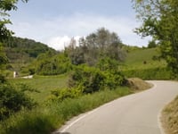 Monte Pirio von Torreglia