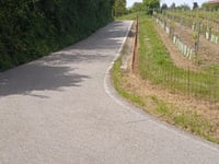 Monte Pirio von Torreglia