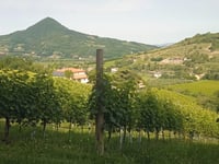 Monte Resino von Valnogaredo