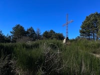Monte Reventino da Lamezia Terme via Magolà