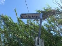 Monte San Bartolo von Ponte Nuovo