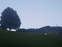 Monte San Primo von Bellagio