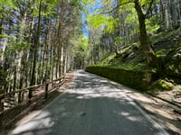Monte Secchieta von Vallombrosa