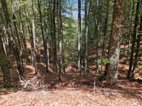Monte Secchieta von Vallombrosa