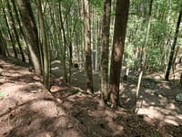 Monte Secchieta von Vallombrosa