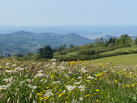 Fiesole über Via di San Domenico