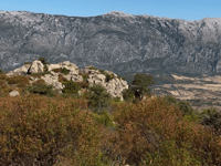 Monte Senes / Norghio von Sos Fonnesos