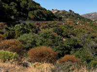 Monte Senes / Norghio von Sos Fonnesos