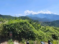 Monte Spiaggione from Castiglioncello