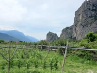Monte Taglio di Sarca von Dro