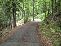 Monte Tersadia