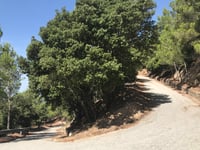 Monte Tuttavista von Galtellì