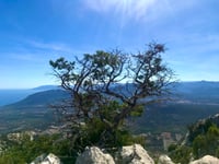 Monte Tuttavista von Galtellì