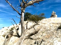 Monte Tuttavista von Galtellì
