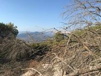 Monte Tuttavista da Orosei