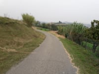 Vignale Monferrato von Cuccaro Monferrato