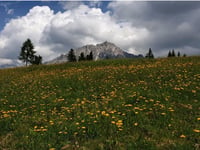 Monte Zovo / Rifugio de Dòo von San Nicolò di Comelico