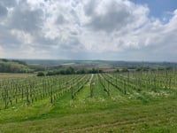 Monteberg