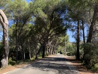 Montée d'Aurons von Péllissanne