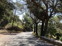 Montée d'Aurons von Péllissanne