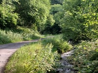 Montée de la Fontaine Sulfureuse from Soulagnets