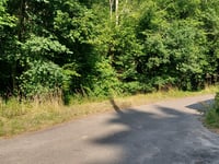 Montée de la Fontaine Sulfureuse from Soulagnets