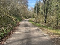 Montée de Seigne desde Vaufrey