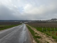Montée de Ville-Dommange