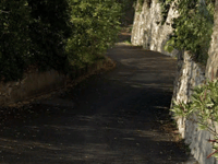 Montée du Lavoir por Rue Frédéric Mistral