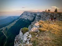 Montée du Mont d'Or da Fourcatier et Maison-Neuve via Les Longevilles Hautes
