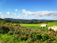 Montée du Pont des Semaines