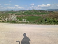 Montefiori von Pievina