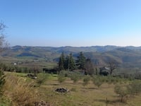 Monte delle Forche da Montenovo