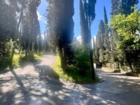 Castel di Poggio von Firenze