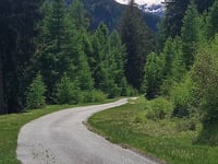 Monti d’Arvigo da Arvigo