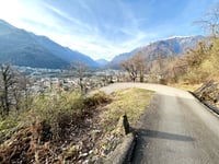 Monti di Daro da Arbedo