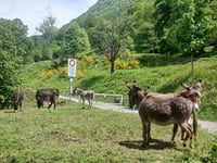 Monti di Gerra