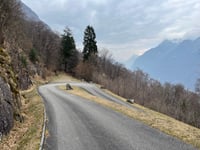 Monti di Gnosca von Gnosca
