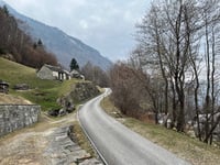 Monti di Gnosca from Gnosca