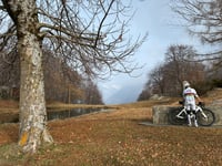Monti di Motti da Cugnasco