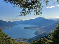 Monti di Motti da Cugnasco