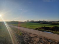 Montigny von Arbre