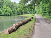 Montigny via Neffe