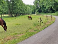 Montigny via Neffe